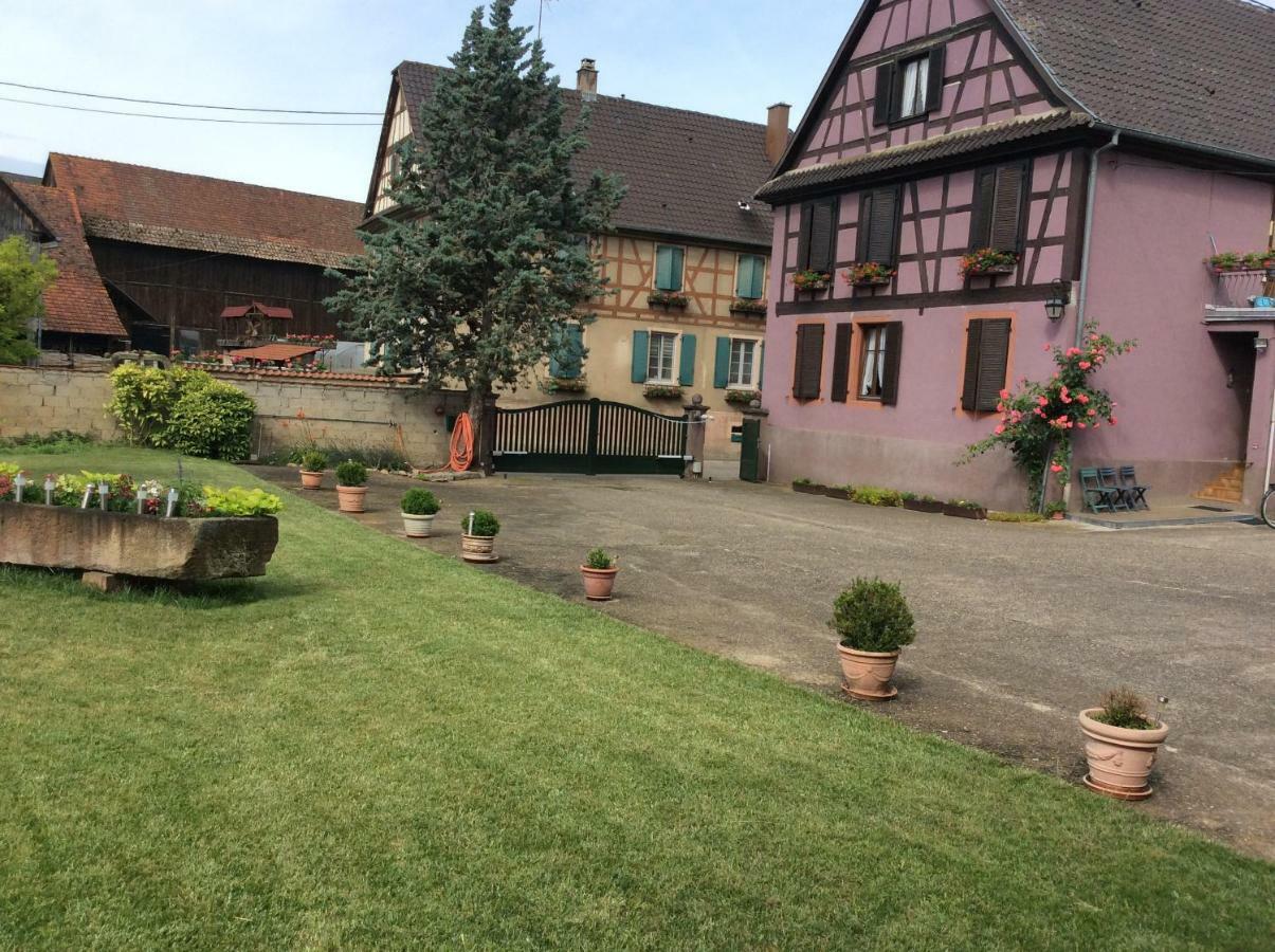 Gite Heinrich Ebersheim Buitenkant foto